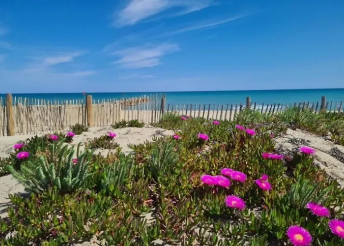 Cosy 4 Pers, Acces Direct Plage, Parking, Ideal - Fr-1-529-140 Le Barcarès